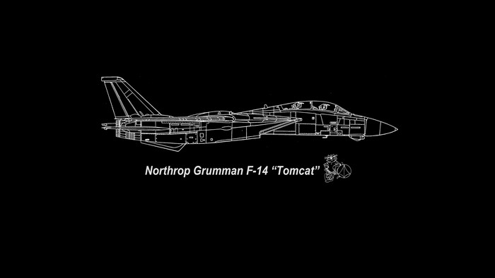 Northrop Grumman F-14 Tomcat blueprint