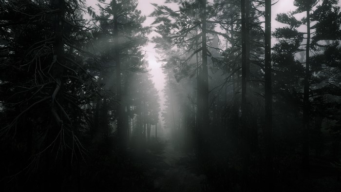Arthur Morgan in Red Dead Redemption 2 forest
