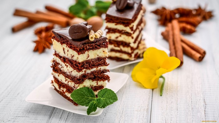 Chocolate cake with cream and mint leaves