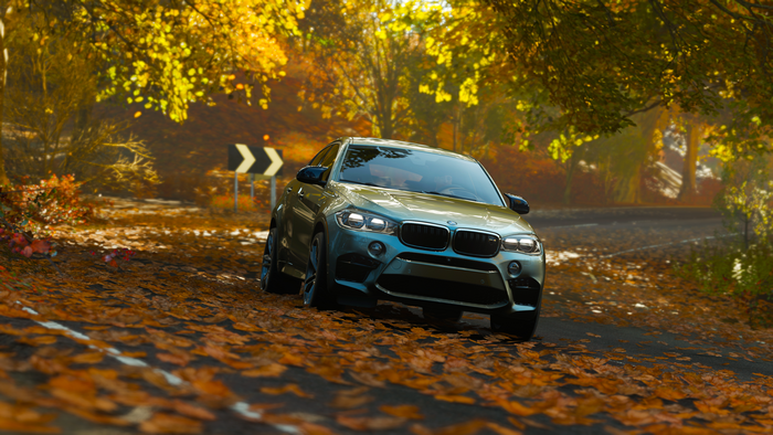 4K Forza Horizon 4 BMW X6 M