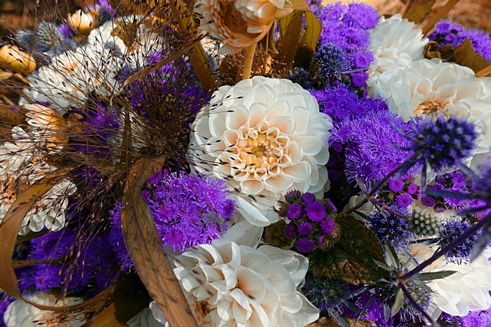 Close-up of a Dahlia flower bouquet with purple accents