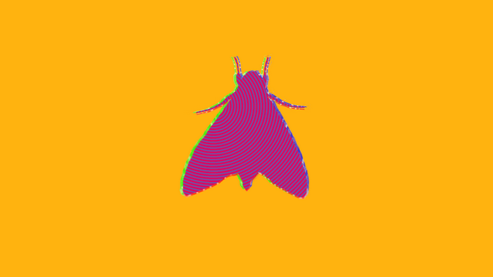Psychedelic moth illustration on orange background