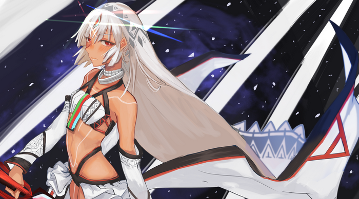 Altera from Fate Series Artwork