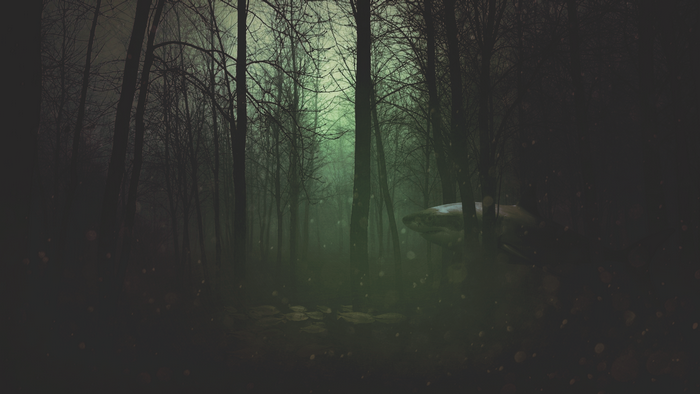 Surreal dark forest with a shark and fish