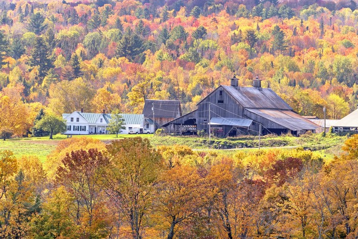 Farm buildings in autumn foliage