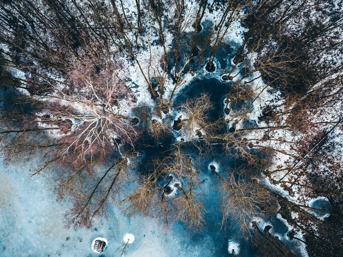 Aerial view of a frozen lake with trees in winter