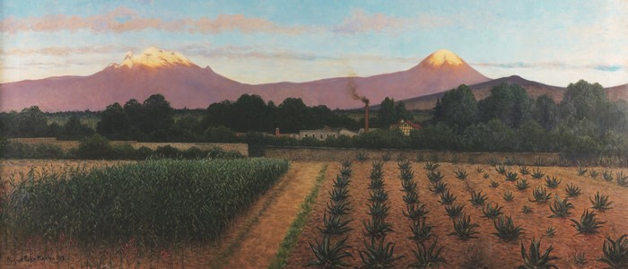 Painting of agave fields and volcanoes at sunrise