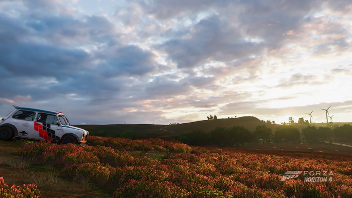 Mini Cooper in a field in Forza Horizon 4