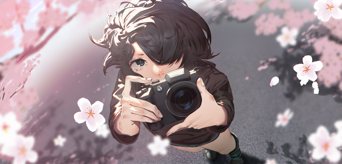 Anime girl with camera among cherry blossoms