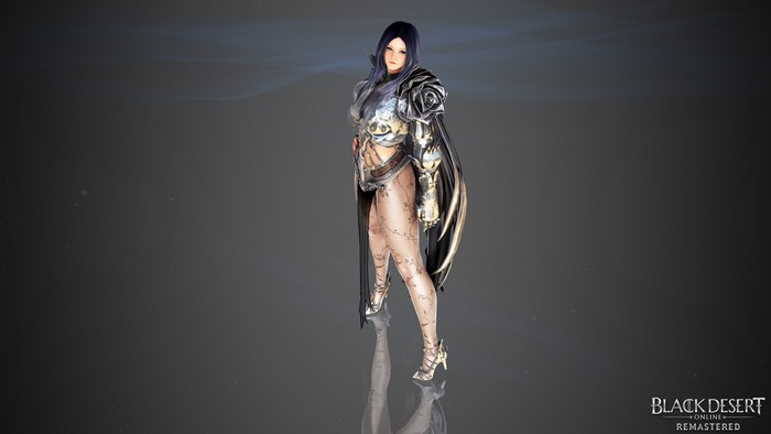 Black Desert Online Character in Silver Armor