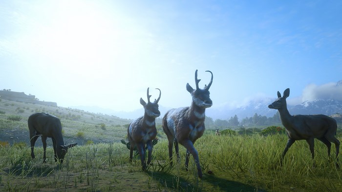 Red Dead Redemption 2 4K screenshot of pronghorn and deer