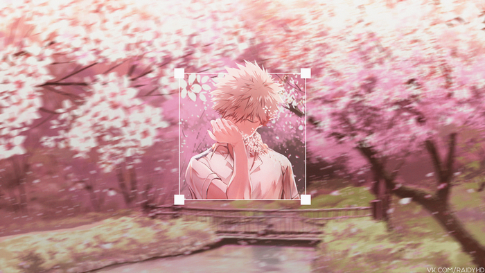 Katsuki Bakugou from Boku no Hero Academia in cherry blossoms