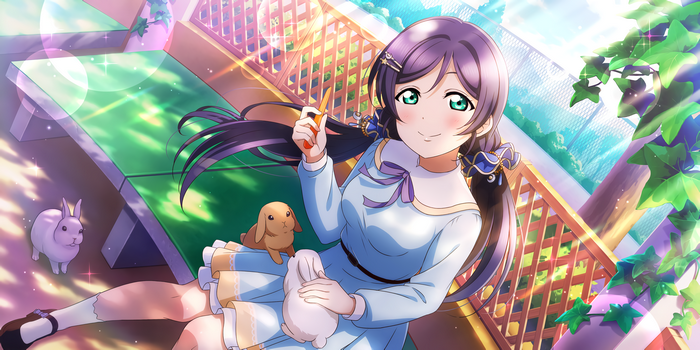 Toujou Nozomi from Love Live! Series with rabbits