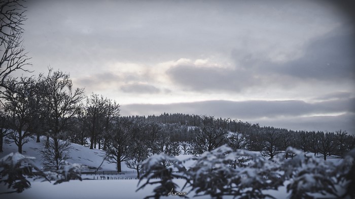 Winter landscape in Forza Horizon 4