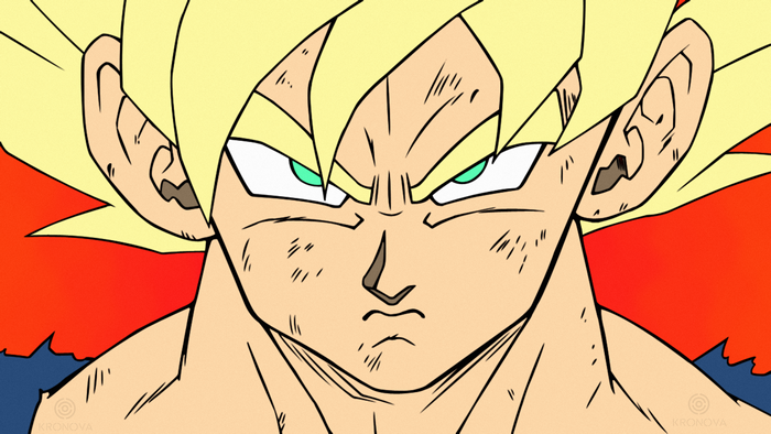Son Goku from Dragon Ball Z