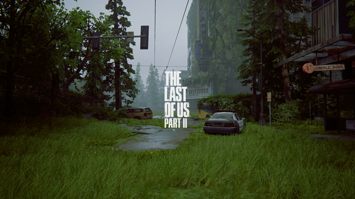 The Last of Us Part II video game