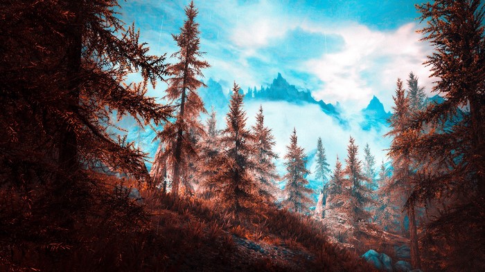 The Elder Scrolls V: Skyrim landscape with mountains and forest