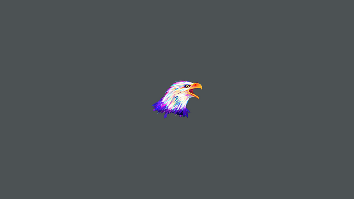 Colorful Eagle Head Artwork