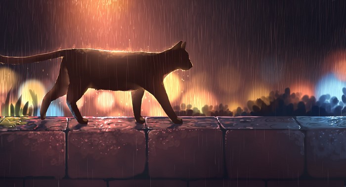 Cat walking on a wall in the rain at night