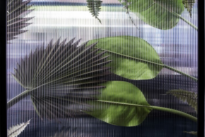 Plants behind ribbed glass