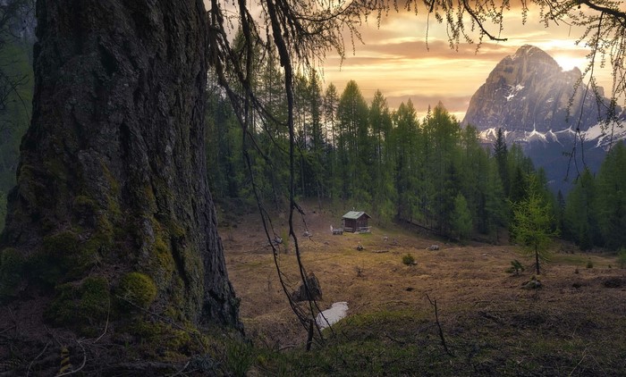Mountain landscape with a cabin and trees