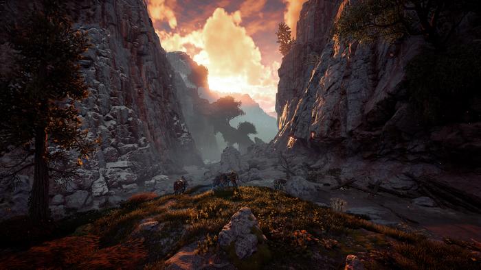 Horizon Zero Dawn rocky canyon at sunset