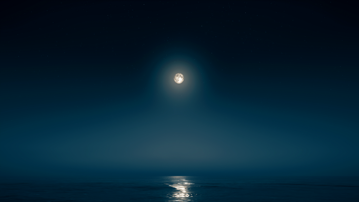 Moonlit Sea at Midnight