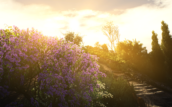 The Witcher 3: Wild Hunt - Blood and Wine screenshot