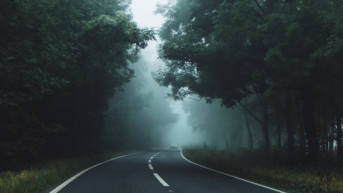 A car drives down a foggy road through a dark forest