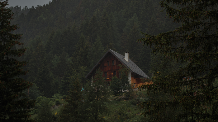 Wooden house in a dense forest in the mountains