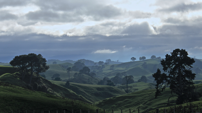 Rolling green hills and trees under cloudy sky