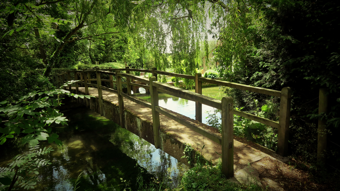 Wooden bridge over a stream in a green forest