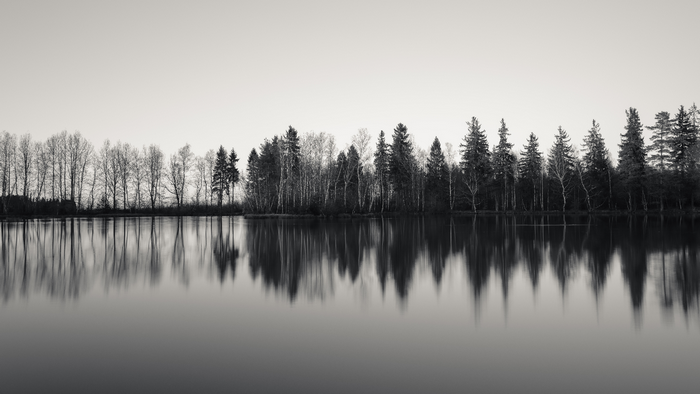 Monochrome landscape of trees reflected in a lake