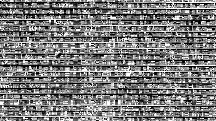 Black and White Library Bookshelf