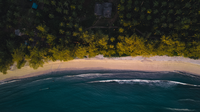 Aerial view of a tropical beach with palm trees and ocean waves