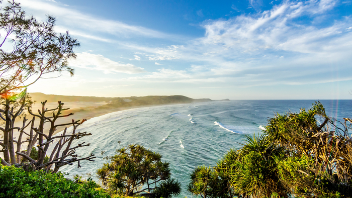 Coastal landscape with ocean waves and trees