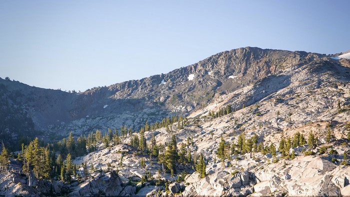 Rocky mountains with scattered pine trees under a clear blue sky