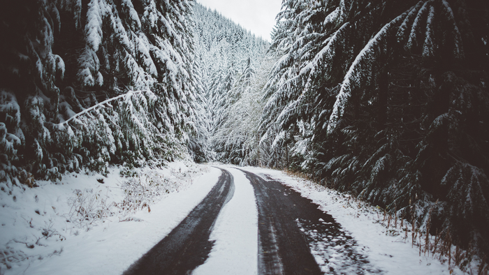 Snowy road through a winter forest in Oregon