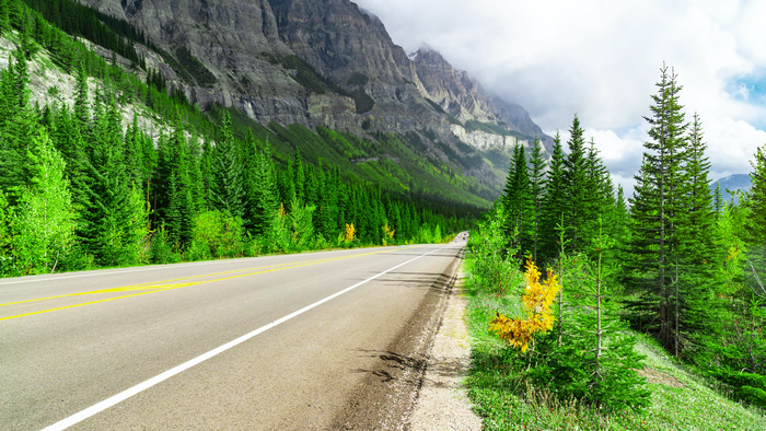 Road through a forest with mountains in Canada