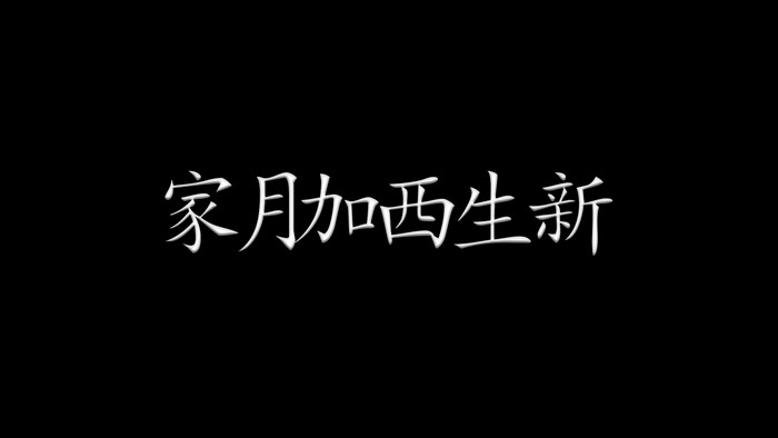 Chinese characters on a black background