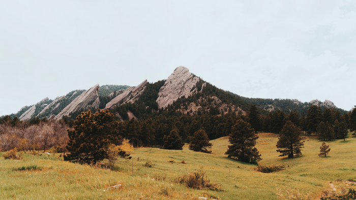 Flatirons mountains landscape with trees and grass