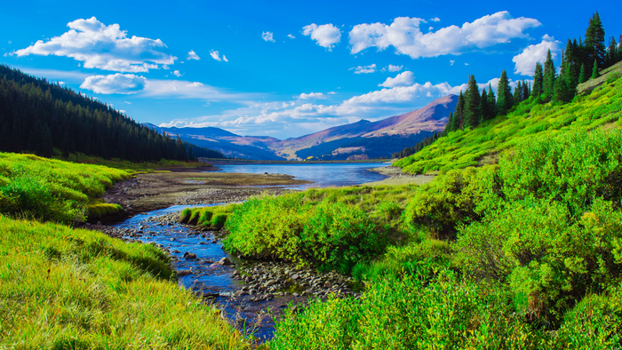 Mountain lake with stream and pine trees in Colorado