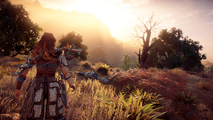 Aloy from Horizon: Zero Dawn in a forest