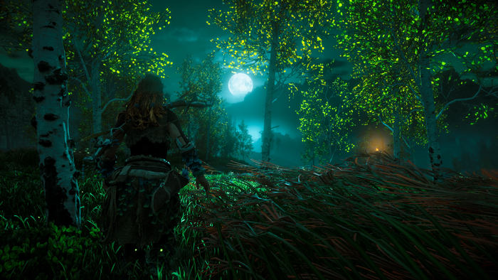 Aloy from Horizon Zero Dawn in a forest at night