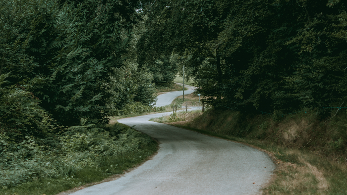 Winding road through a dense forest