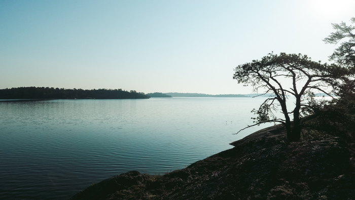 Lake landscape with trees and rocks in Sweden