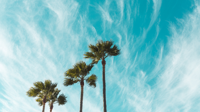 Palm trees against a bright blue sky with wispy clouds