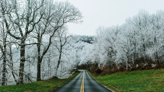 Road through a frosted forest on the Blue Ridge Parkway