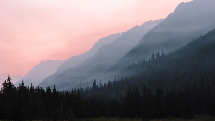 Misty mountains and forest at dawn
