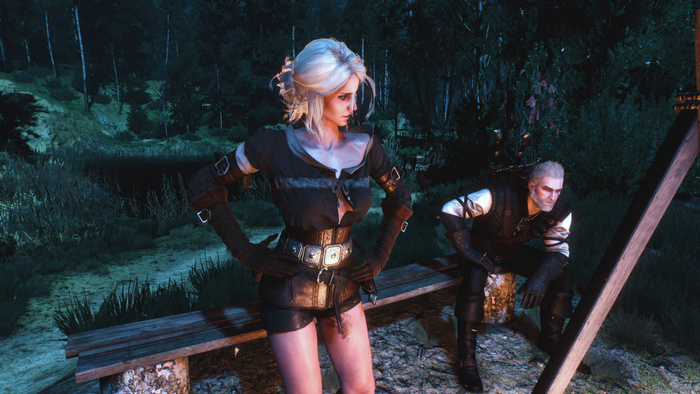 Ciri and Geralt from The Witcher 3: Wild Hunt